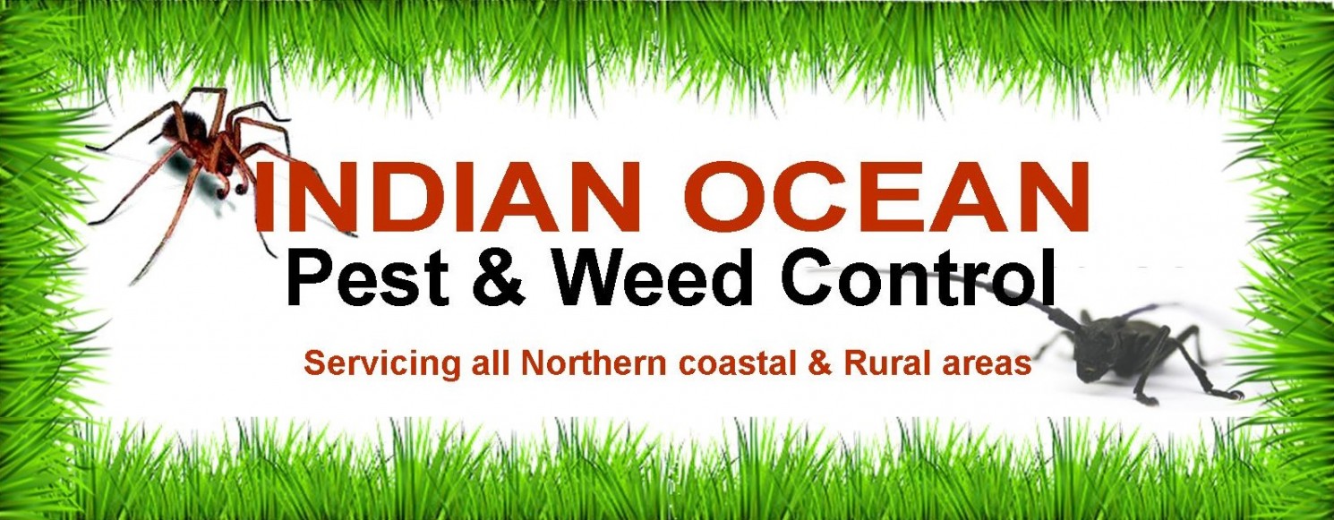 Pest Control Perth, Lancelin, Jurien Bay, Gingin